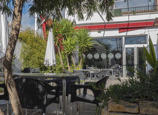 vegetacion-terraza